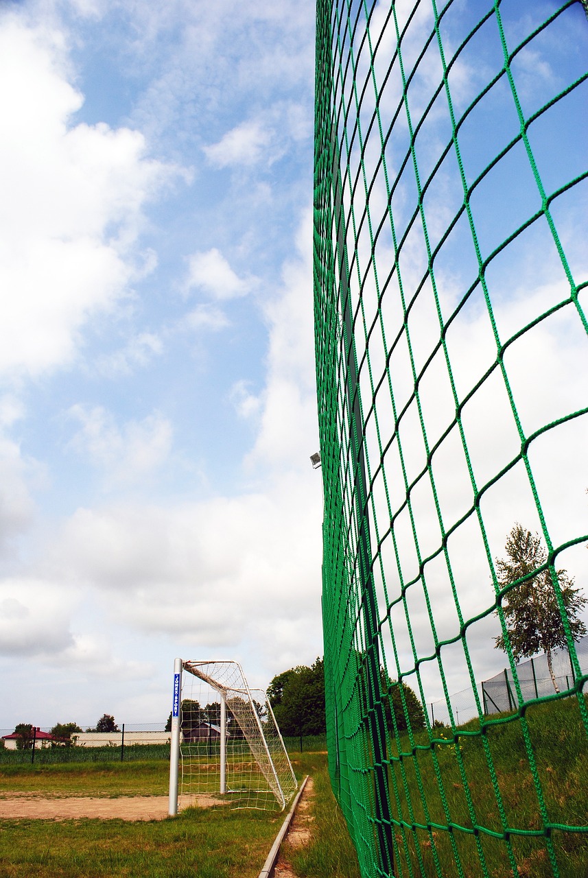 了教练和团 了教练和团