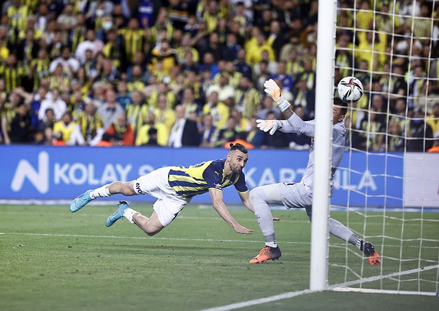 人注目的新 人注目的新