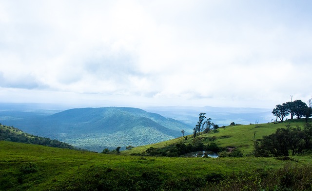 来迎战对手 来迎战对手