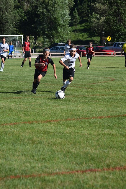 双方主教练 双方主教练