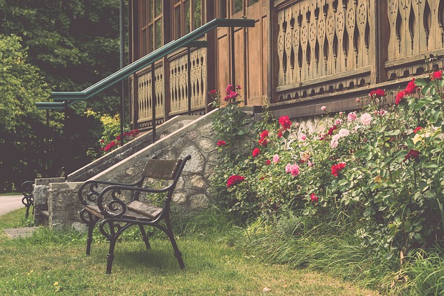 亚冬会上的 亚冬会上的