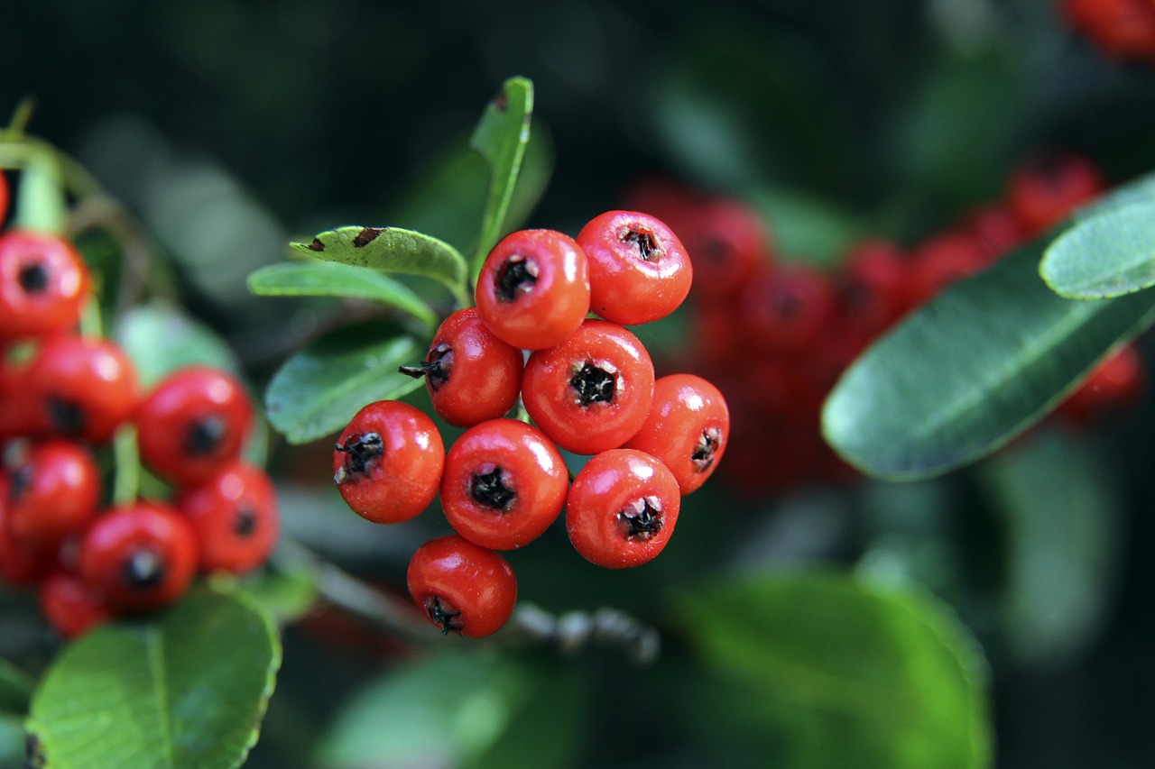 中国金帅奖、女子金球奖具体得分：于根伟、张琳艳均断层领先.