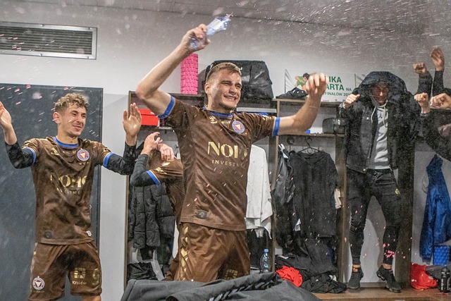 賓福特黑馬 賓福特黑馬