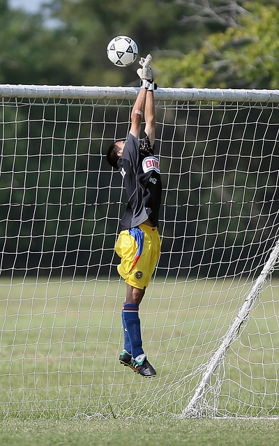 迈向更高的 迈向更高的